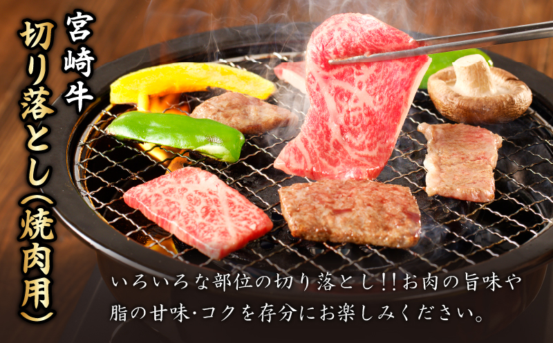 ≪生産者応援≫宮崎牛切り落とし(焼肉用)計1kg 肉 牛 牛肉 国産_T030-077-F