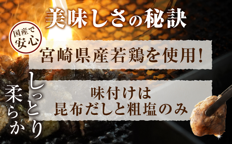 【数量限定】《隔月3回定期便》宮崎県産若鶏炭火焼(総重量6.3kg) 肉 鶏肉 加工品 国産_T017-011-ZO