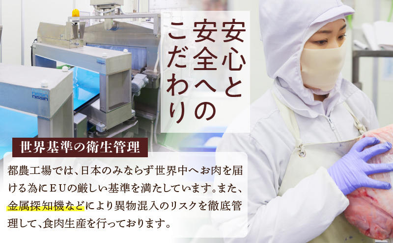 ≪生産者応援≫宮崎牛切り落とし(焼肉用)計1kg 肉 牛 牛肉 国産_T030-077-F