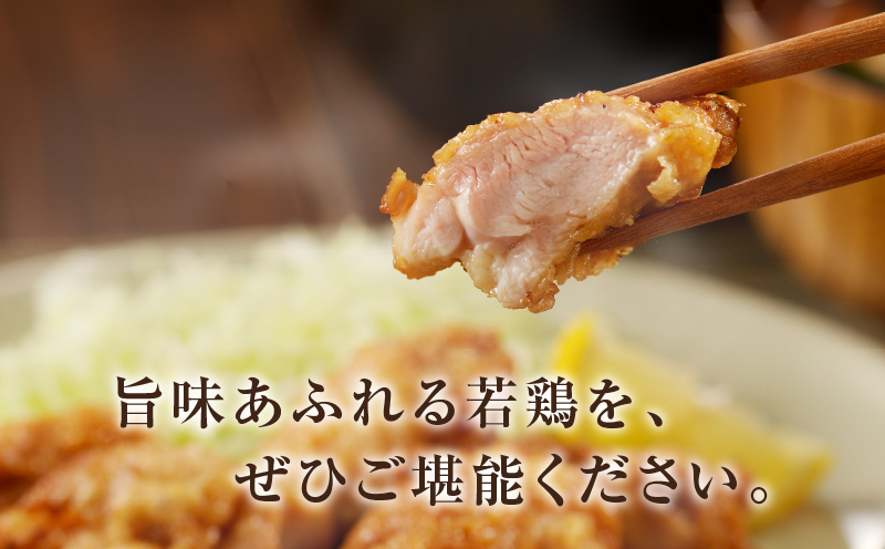 【数量限定】《隔月3回定期便》宮崎県産若鶏もも肉切身(総重量9.9kg) 肉 鶏 鶏肉 国産_T017-009-ZO