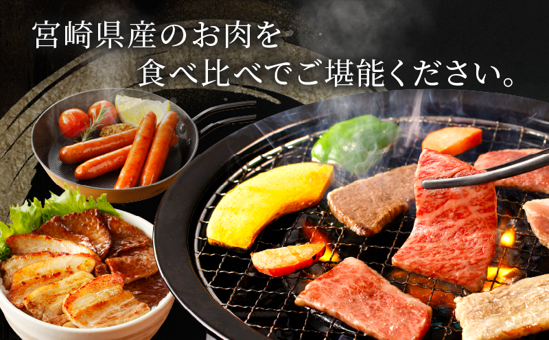 ≪8か月定期便≫黒毛和牛＆県産豚バラエティーセット(総重量7.3kg以上) 肉 牛 牛肉 おかず 国産_T030-070