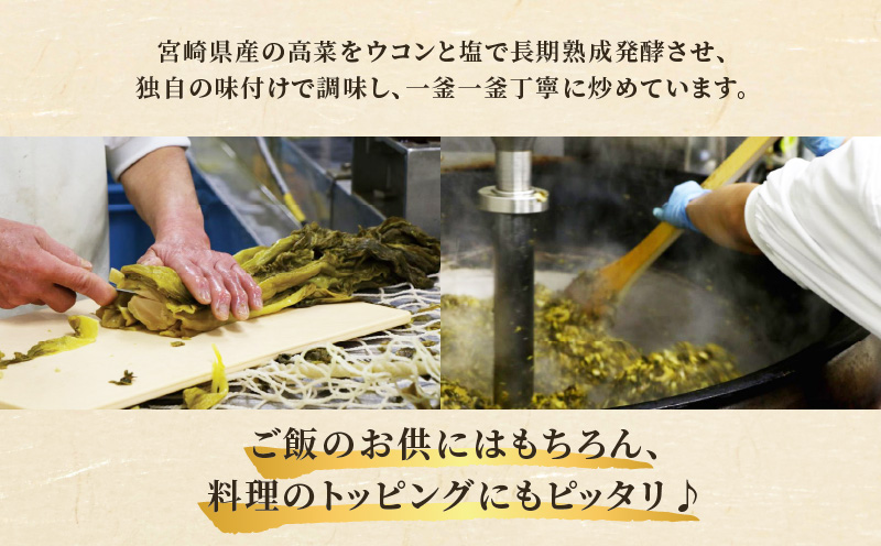 ＼ポスト投函／高菜油炒め100g つけもの おかず 野菜 加工品 国産_T037-0051