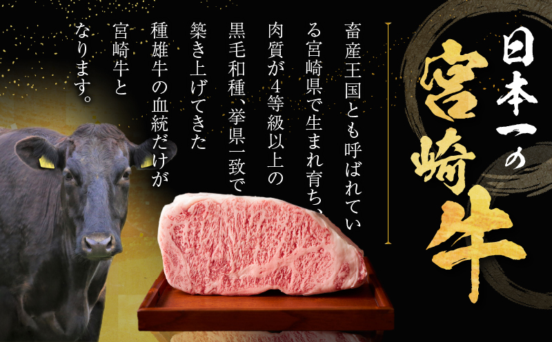 数量限定≪生産者応援≫宮崎牛ロースステーキ(計500g) 肉 牛 牛肉 焼肉 国産_T030-1073