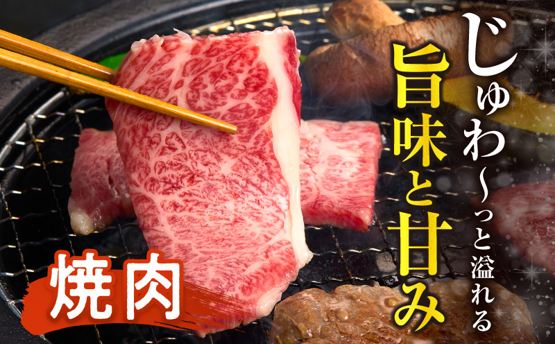 【畜産農家応援!!】≪肉質等級4等級以上≫黒毛和牛赤身焼肉(計2kg) 肉 牛 牛肉 国産_T030-0956