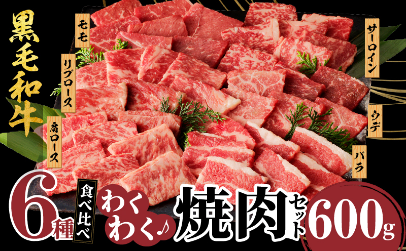 生産者応援≪訳あり≫黒毛和牛(経産牛)6種焼肉セット(合計600g) 肉 牛 牛肉 おかず 国産_T030-1203