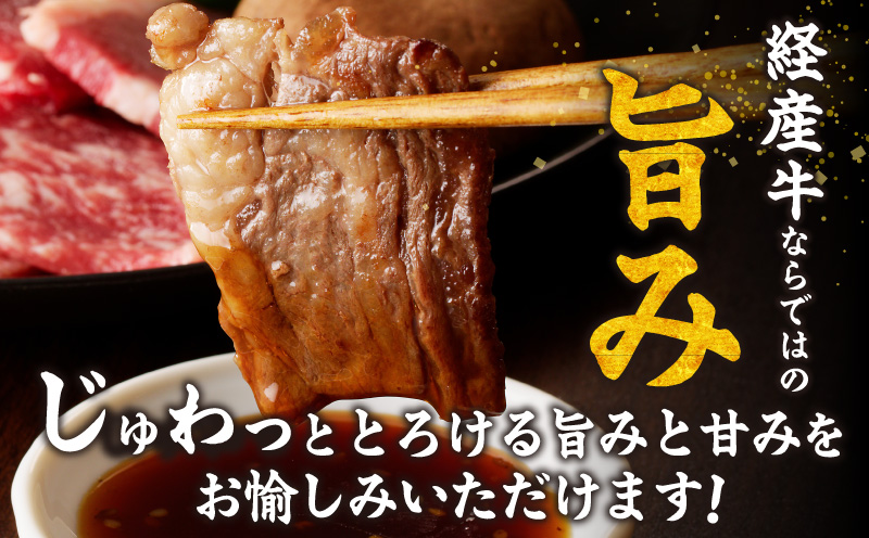 生産者応援≪訳あり≫黒毛和牛(経産牛)6種焼肉セット(合計600g) 肉 牛 牛肉 おかず 国産_T030-1203