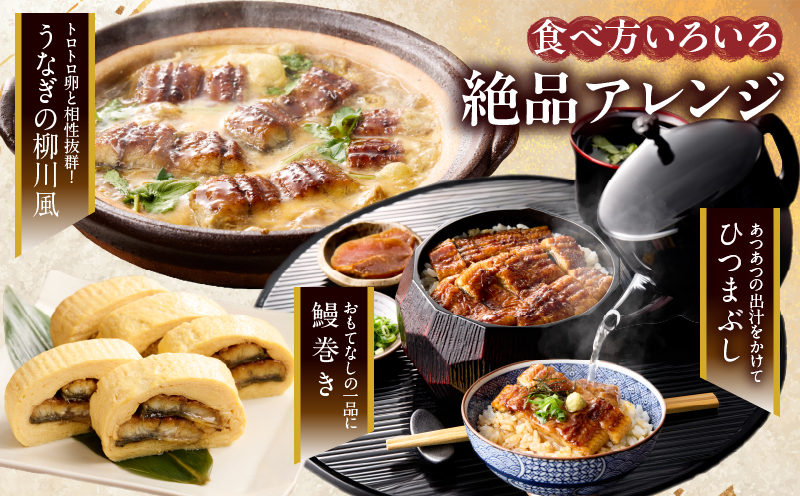 【3回連続定期便】うなぎ蒲焼特大2尾(さんしょう・たれ付き)総重量1140g以上 鰻 魚 魚介 加工品 国産_T026-0061-R