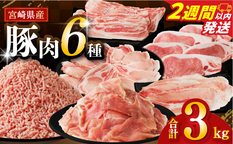 【2週間以内発送】≪宮崎県産≫豚肉6種＼てげスゲーセット／合計3kg 肉 豚 豚肉 おかず 国産_T009-031-2W