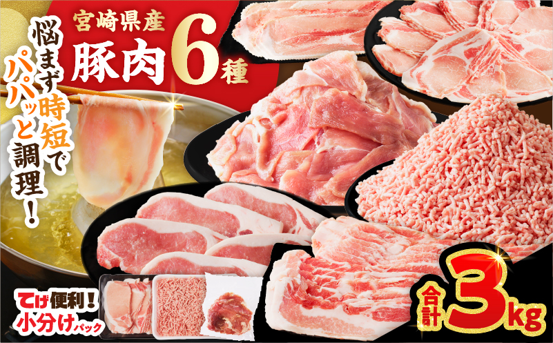 ≪宮崎県産≫豚肉6種＼てげスゲーセット／合計3kg 肉 豚 豚肉 おかず 国産_T009-031