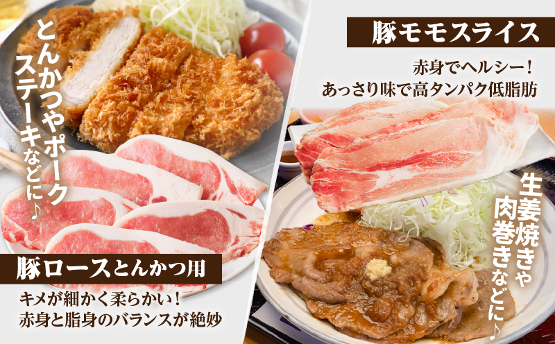 【2週間以内発送】≪宮崎県産≫豚肉6種＼てげスゲーセット／合計4.5kg 肉 豚 豚肉 おかず 国産_T009-032-2W