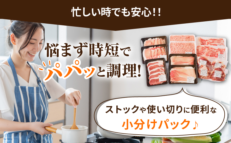 【2週間以内発送】≪宮崎県産≫豚肉6種＼てげスゲーセット／合計4.5kg 肉 豚 豚肉 おかず 国産_T009-032-2W