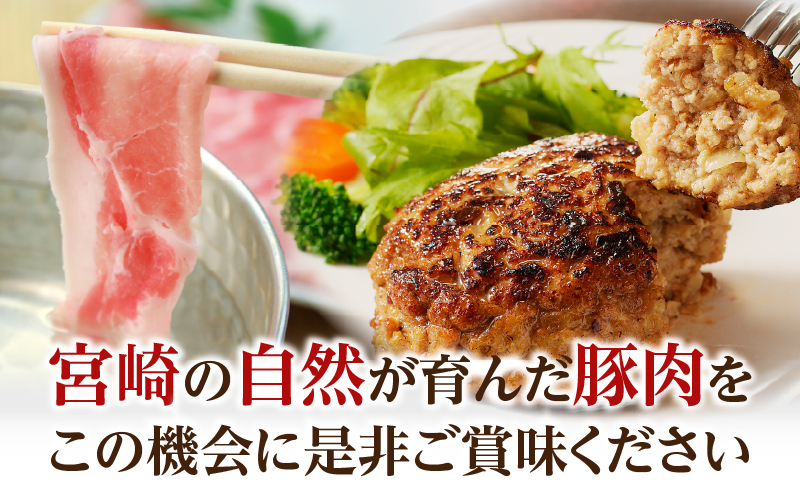 【2週間以内発送】≪宮崎県産≫豚肉6種＼てげスゲーセット／合計4.5kg 肉 豚 豚肉 おかず 国産_T009-032-2W