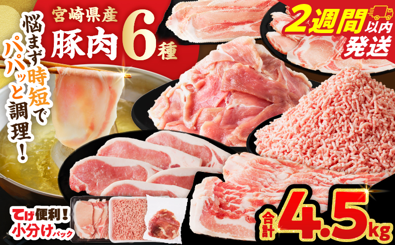【2週間以内発送】≪宮崎県産≫豚肉6種＼てげスゲーセット／合計4.5kg 肉 豚 豚肉 おかず 国産_T009-032-2W