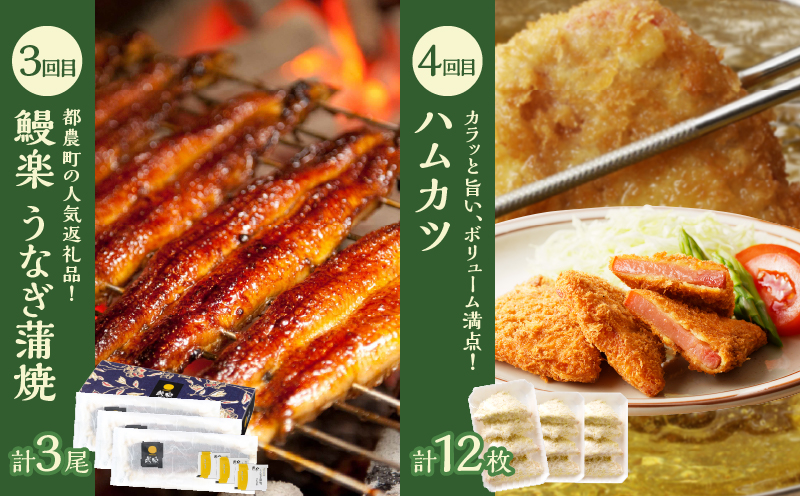 ≪6か月お楽しみ定期便≫都農町定期便(梅) 肉 加工品 デザート 国産_T999-0055