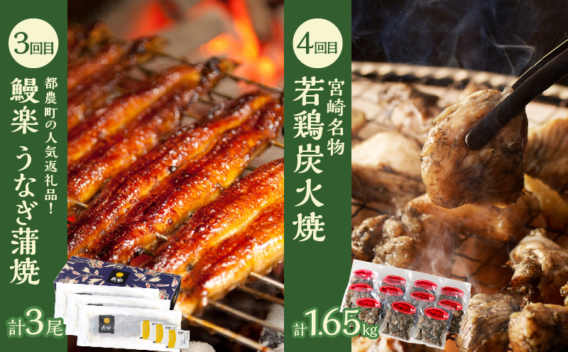 ≪6か月お楽しみ定期便≫都農町定期便(竹) 肉 加工品 鰻 国産_T999-0063