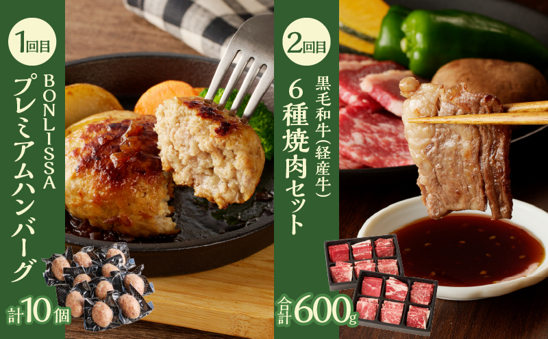 ≪12か月お楽しみ定期便≫都農町定期便(梅) 肉 加工品 デザート 国産_T999-0085