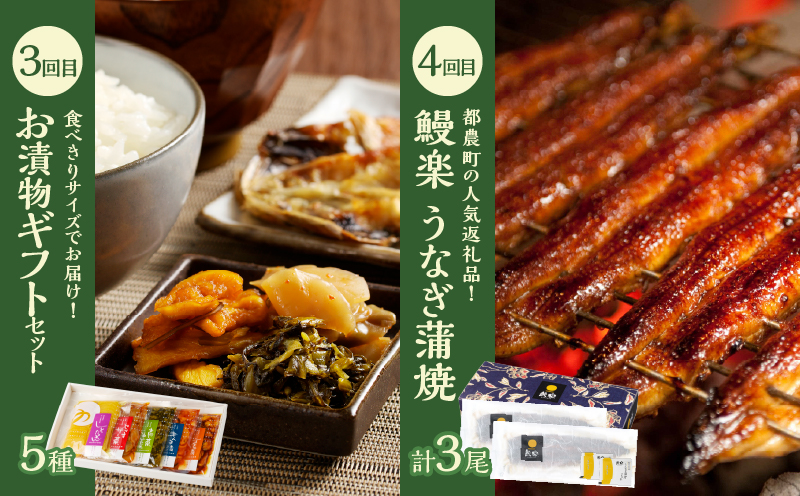 ≪12か月お楽しみ定期便≫都農町定期便(竹) 肉 加工品 デザート 国産_T999-0093