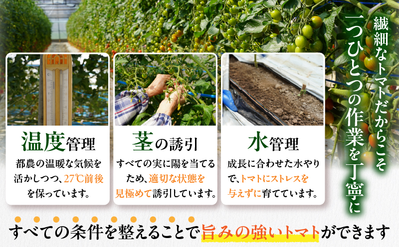 å
è¡äºçŽâªæééå®â«ãªãªãžãã«ãã©ã³ãããã«ãŒãããã ãããèš2kg ããããã éè ãµã©ã åœç£_T047-0041