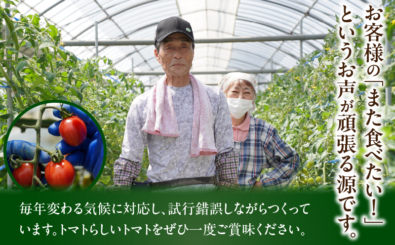 å
è¡äºçŽâªæééå®â«ãªãªãžãã«ãã©ã³ãããã«ãŒãããã ãããèš2kg ããããã éè ãµã©ã åœç£_T047-0041