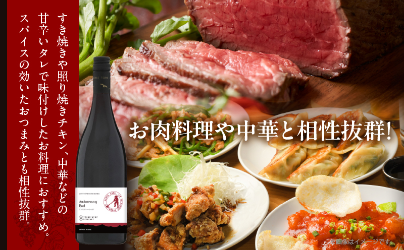 【数量限定】アンベラシー レッド(計1本) ワイン 酒 アルコール 国産_T014-046