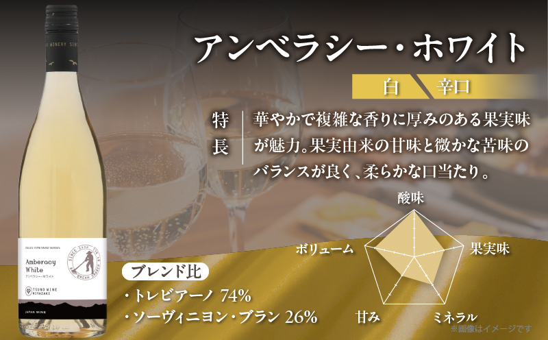 【数量限定】アンベラシー ホワイト(計1本) ワイン 酒 アルコール 国産_T014-048
