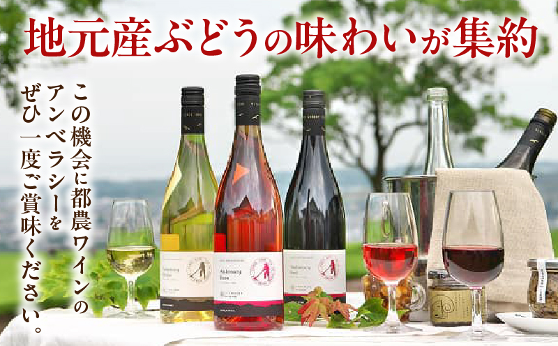 【数量限定】アンベラシー ホワイト(計1本) ワイン 酒 アルコール 国産_T014-048