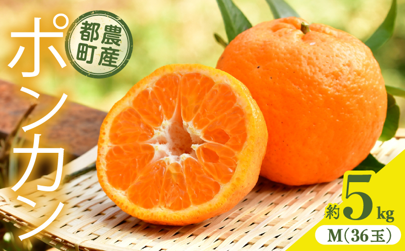 先行予約≪期間限定≫都農町産「ポンカン(Mサイズ)」 約5kg フルーツ 果物 柑橘 国産_T008-005