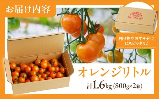 ≪期間限定≫オレンジリトル（計1.6kg） ミニトマト 野菜 サラダ 国産_T040-0011