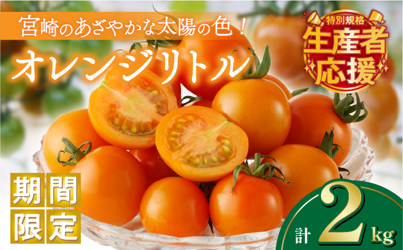 生産者応援!!【期間・数量限定特別規格】オレンジリトル（計2kg） ミニトマト 野菜 サラダ 国産_T040-0011-ZO