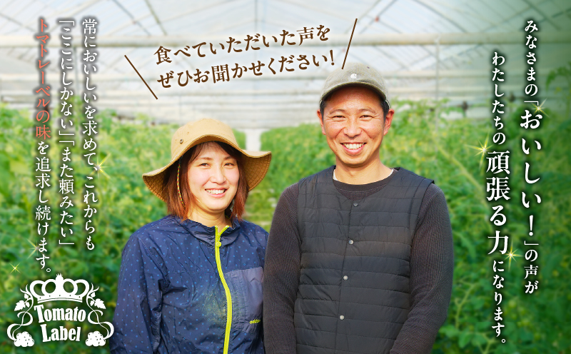 ≪期間限定≫高糖度ミニトマト『ニーゴ25。』(計1.6kg) ミニトマト 野菜 サラダ 国産_T040-0021