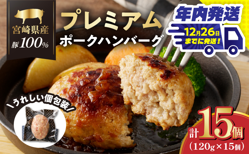 ＼年内発送!!／宮崎県産豚プレミアムハンバーグ(計15個) 肉 豚肉 加工品 惣菜 国産_T001-0111-N