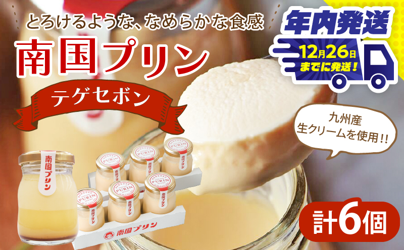 ＼年内発送!!／南国プリン「テゲセボン(計6個)」 スイーツ 洋菓子 国産_T038-0041-N