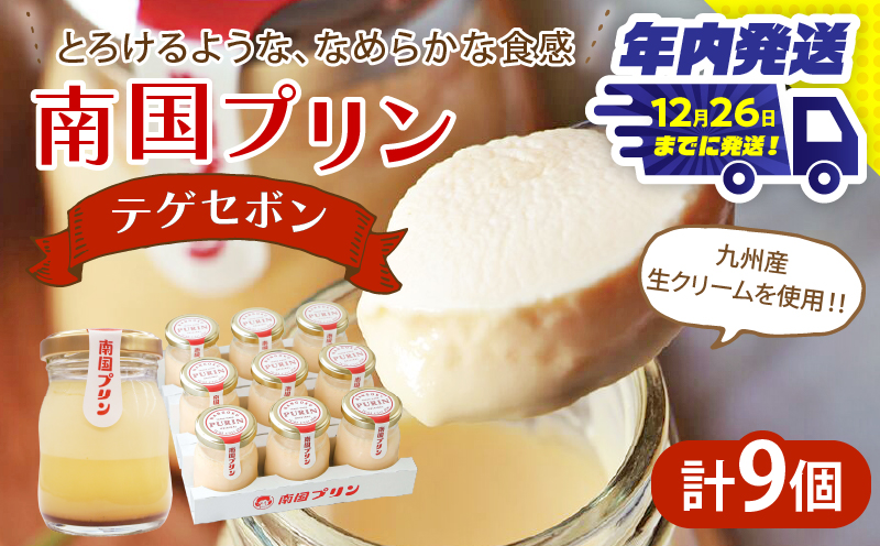 ＼年内発送!!／南国プリン「テゲセボン(計9個)」 スイーツ 洋菓子 国産_T038-0051-N