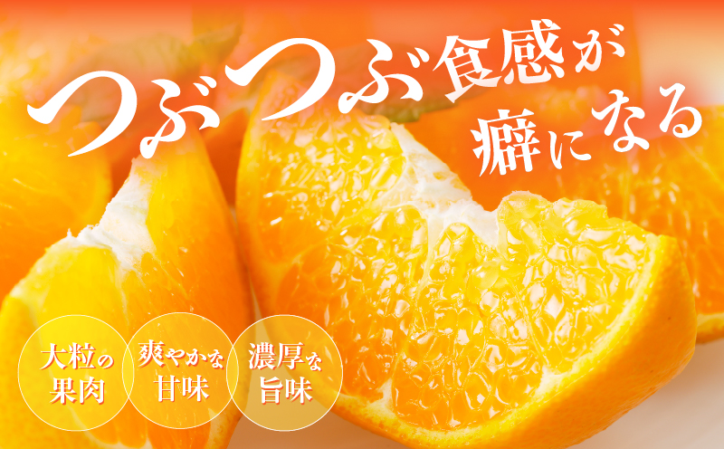 å
è¡äºçŽâªæ°ééå®â«åžå°ãªææ©ãã¯ãã¿ãèš5kg ãã«ãŒã æç© ææ© ã¿ãã åœç£_T008-001