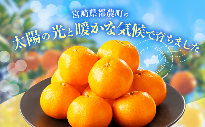 å
è¡äºçŽâªæ°ééå®â«åžå°ãªææ©ãã¯ãã¿ãèš5kg ãã«ãŒã æç© ææ© ã¿ãã åœç£_T008-001