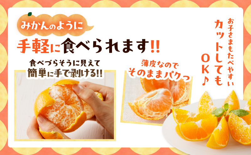 å
è¡äºçŽâªæ°ééå®â«åžå°ãªææ©ãã¯ãã¿ãèš5kg ãã«ãŒã æç© ææ© ã¿ãã åœç£_T008-001