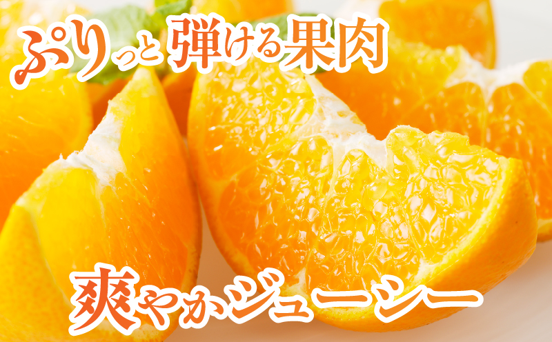 å
è¡äºçŽâªæ°ééå®â«åžå°ãªææ©ãã¯ãã¿ãèš5kg ãã«ãŒã æç© ææ© ã¿ãã åœç£_T008-001