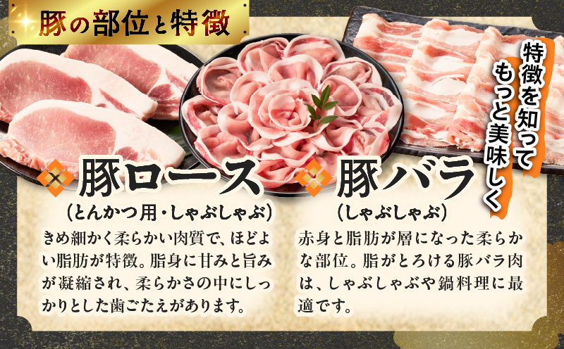 宮崎県産豚肉6種盛り合わせセット(合計4.1kg) 肉 豚 豚肉 おかず 国産_T030-204