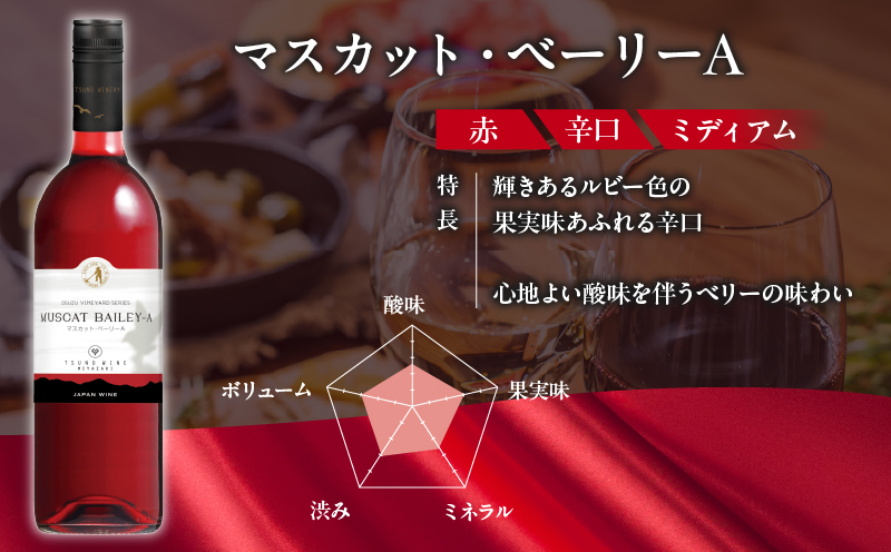 【数量限定】マスカットベリーベリー2本セット ワイン 酒 飲料 アルコール 国産_T014-057