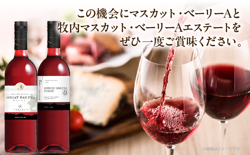 【数量限定】マスカットベリーベリー2本セット ワイン 酒 飲料 アルコール 国産_T014-057
