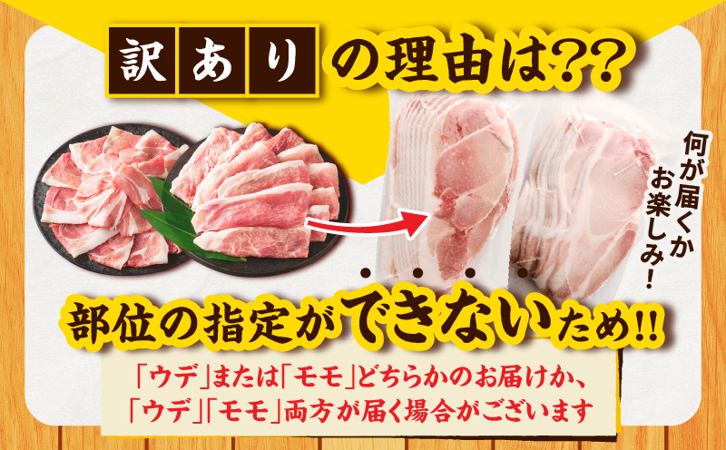 ≪訳あり≫宮崎県産豚スライス(ウデorモモ)&粗挽きウインナーセット合計2.34kg 肉 豚 豚肉 おかず 国産_T030-2065