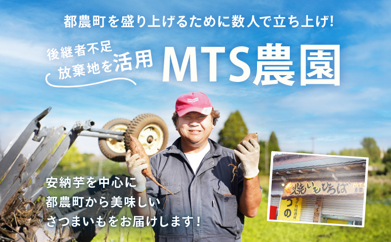 冷やし焼き芋(紅はるか) 計800g さつまいも イモ 野菜 国産_T016-010