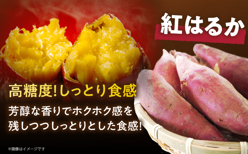 冷やし焼き芋(紅はるか) 計2kg さつまいも イモ 野菜 国産_T016-007