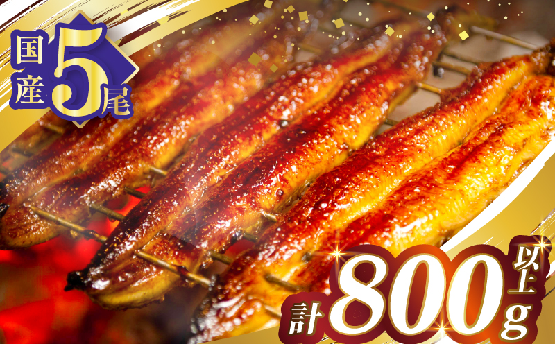 うなぎ蒲焼5尾(さんしょう・たれ付き)計800g以上 鰻 魚 魚介 加工品 国産_T026-0032