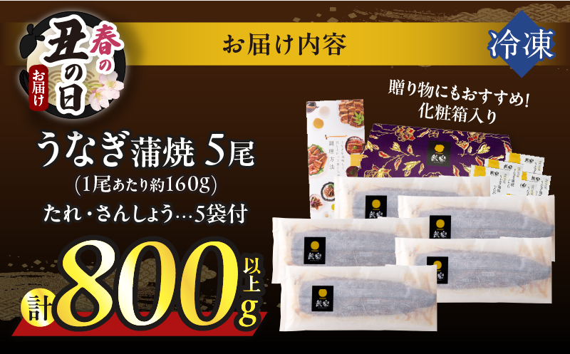 【春の丑の日までにお届け!!】うなぎ蒲焼5尾(さんしょう・たれ付き)計800g以上 鰻 魚 魚介 加工品 国産_T026-0032-US1