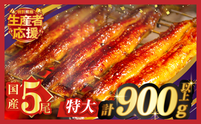 【数量・期間限定 特別規格】うなぎ蒲焼5尾(さんしょう・たれ付き)計900g以上 鰻 魚 魚介 加工品 国産_T026-0032-ZO
