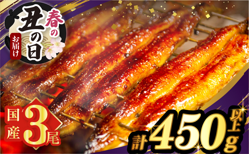 【春の丑の日までにお届け!!】うなぎ蒲焼3尾(さんしょう・たれ付き)計450g以上 鰻 魚 魚介 加工品 国産_T026-014-US1