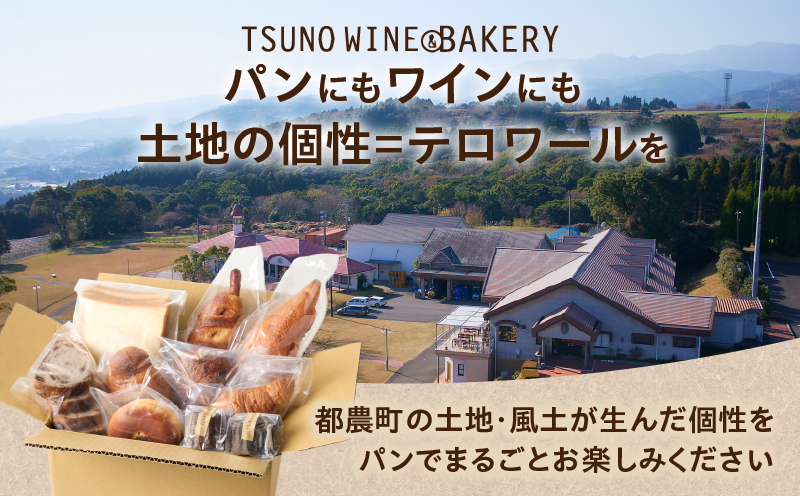 TSUNOWINE＆BAKERY カヌレ6個セット パン 菓子 トースト 国産_T053-0035
