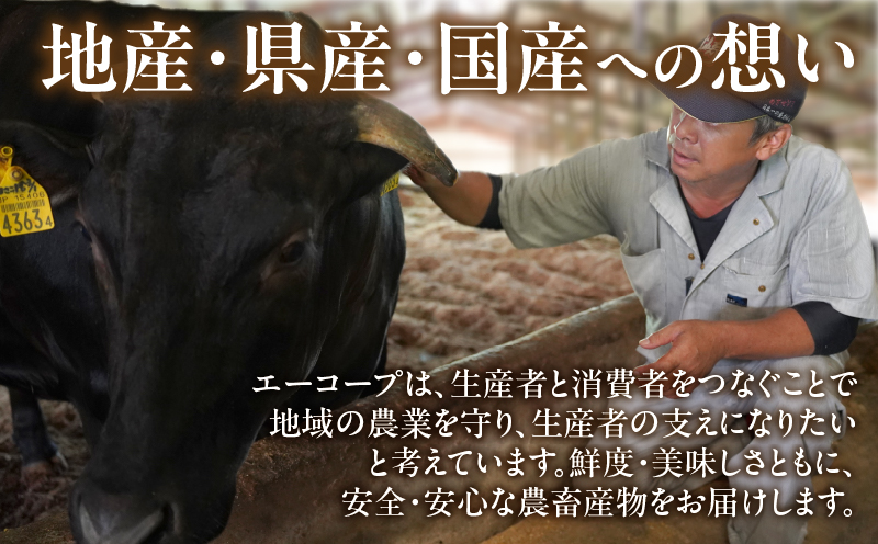 宮崎牛ローススライス(計800g) 肉 牛 牛肉 国産_T050-0065