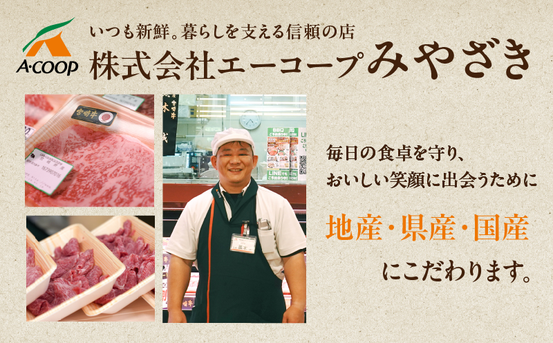 宮崎牛ローススライス(計800g) 肉 牛 牛肉 国産_T050-0065